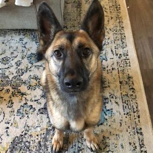 Meet your Posher, Eva